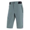 Gore Wear C5 Short Nordic Homme Vert-de-gris 1 Gore Wear C5 Short Nordic Homme Vert-de-gris -RideLight Boutique 100585AP000 0 0