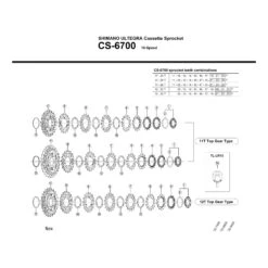 Shimano Cassette Ultegra 10 Vit (11-25) 5 Shimano Cassette Ultegra 10 Vit (11-25) -RideLight Boutique ICS670010125 1 2