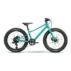 BMC Twostroke AL 20 Taille Enfant 110-135cm Homme Turquoise 2 BMC Twostroke AL 20 Taille Enfant 110-135cm Homme Turquoise -RideLight Boutique main 30001131 0 1938
